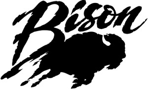 Bison