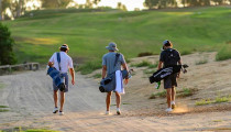 Golf's Modernized Rules of Amateur Status Published