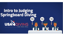 New Free Course for Diving Officials Now Available on the NFHS Learning Center